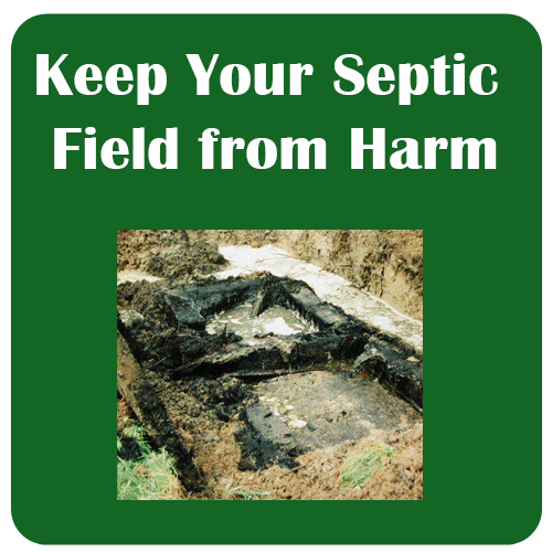 Keeping Your Septic Field from Harm Tri County Septic LLC