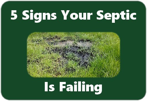 5 signs septic is failing