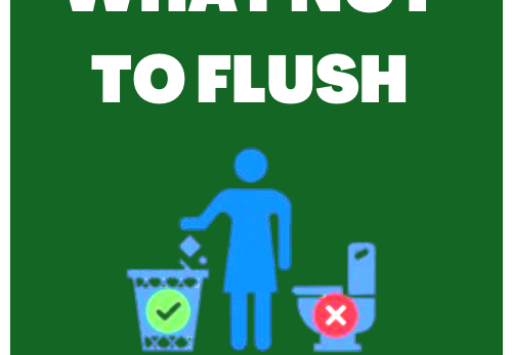 WHAT_NOT_TO_FLUSH